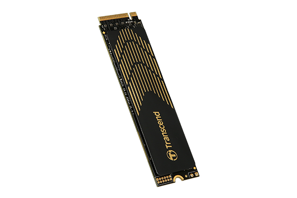 EU Product - 240S - SSD - 500 GB - intern - M.2 2280 (doppelseitig) thumbnail