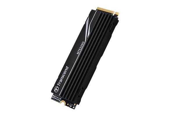 EU Product - MTE250H - SSD - 1 TB - intern - M.2 2280 - PCIe 4.0 x4 (NVMe) thumbnail