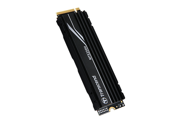 EU Product - MTE250H - SSD - 1 TB - intern - M.2 2280 - PCIe 4.0 x4 (NVMe) thumbnail