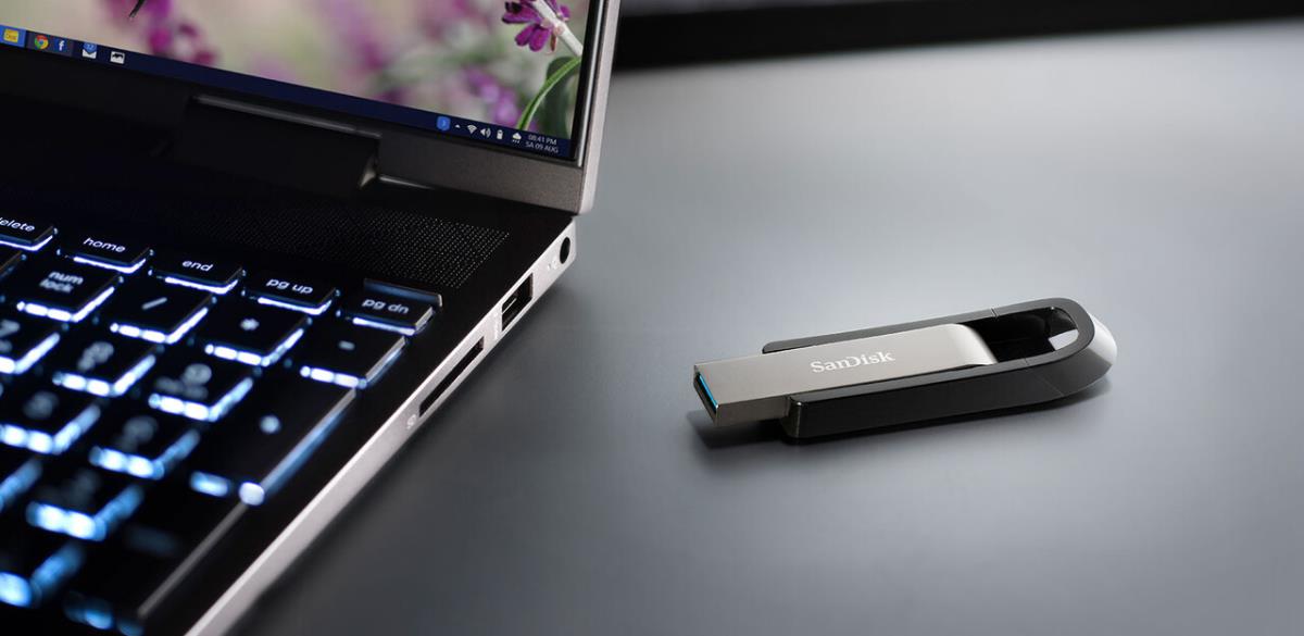 EU Product - Exreme Go Us Flsh Drive thumbnail