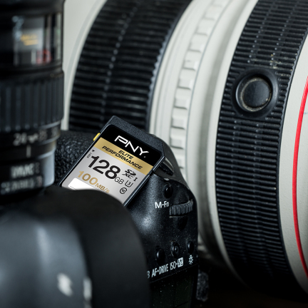 Elite Performance SDXC Flash Memory Card 128GB Class 10 UHS-1 U3 (while stocks last) thumbnail
