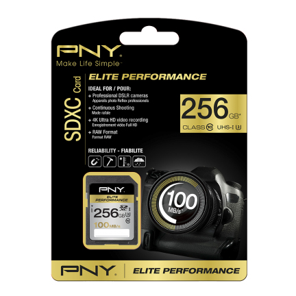 EU Product - SDXC 256G ELIE PERF. CLSS10 thumbnail