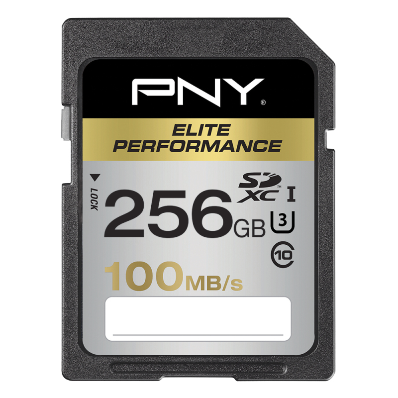 EU Product - SDXC 256G ELIE PERF. CLSS10 thumbnail