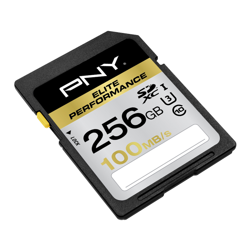EU Product - SDXC 256G ELIE PERF. CLSS10 thumbnail