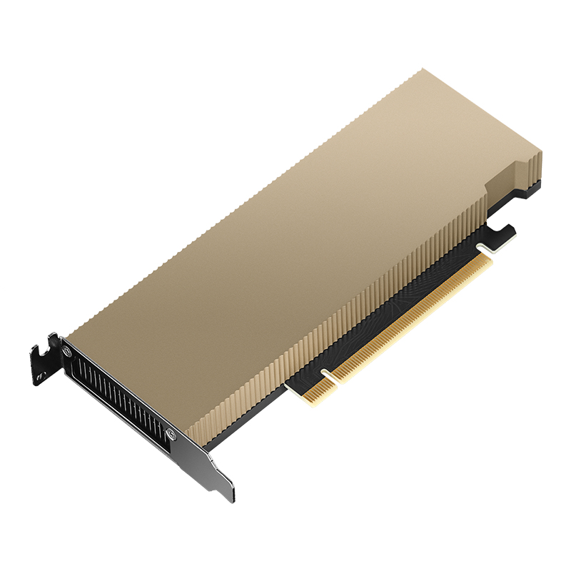 EU Product - PNY L4 Modul 24GB LP/ATX thumbnail
