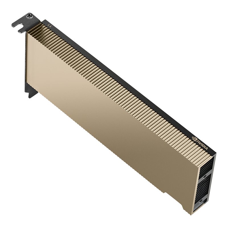 EU Product - PNY L4 Modul 24GB LP/ATX thumbnail
