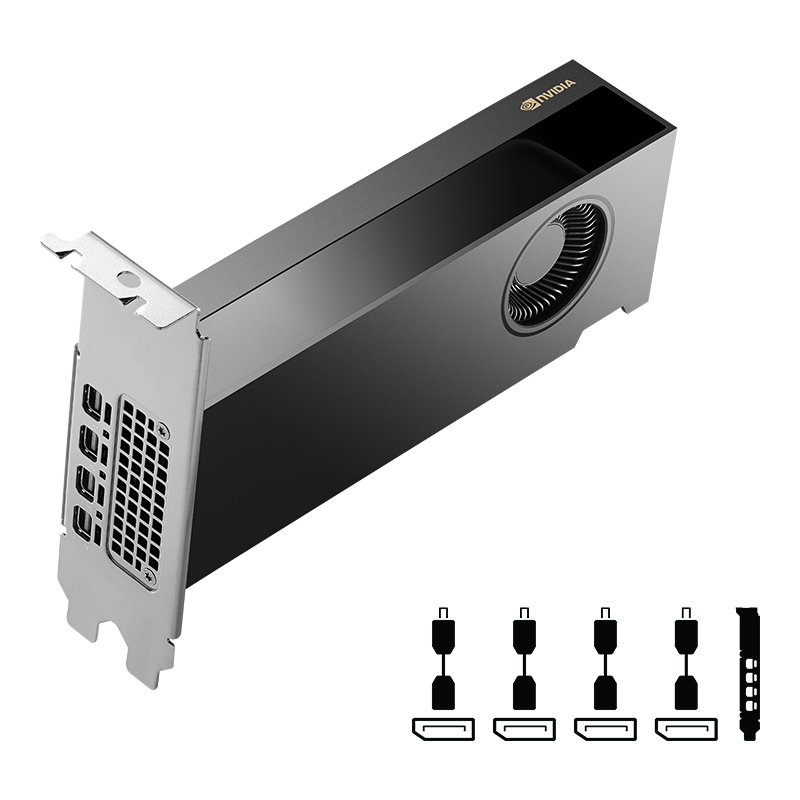 EU Product - PNY 16GB RTX 2000 Ada 4x mDP LP Full Retail thumbnail