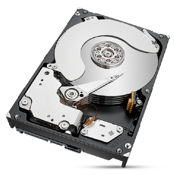 EU Product - IronWolf Pro ST8000NT001 SATA - Hdd - Serial ATA thumbnail