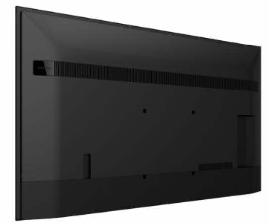 Bravia Professional Displays FW-65BZ40L - 65