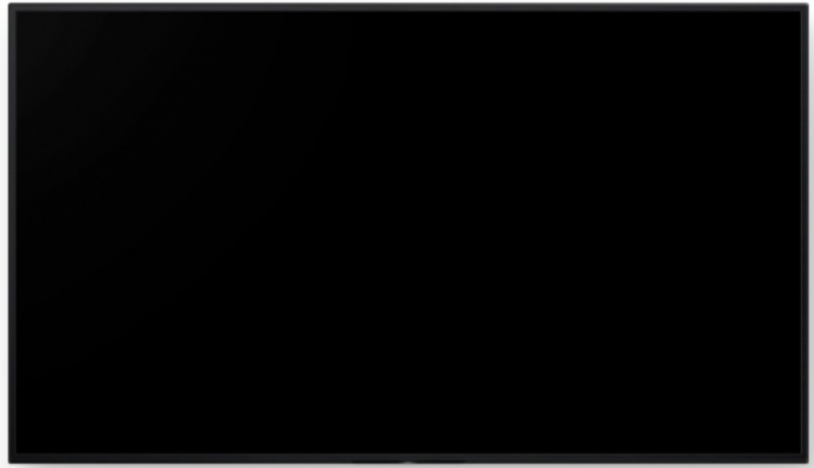 Bravia Professional Displays FW-65BZ40L - 65