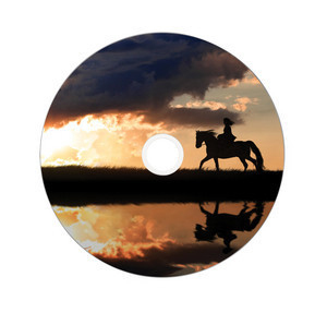 DVD+R Double Layer 8.5GB 8X Wide Printable 50 Pack thumbnail