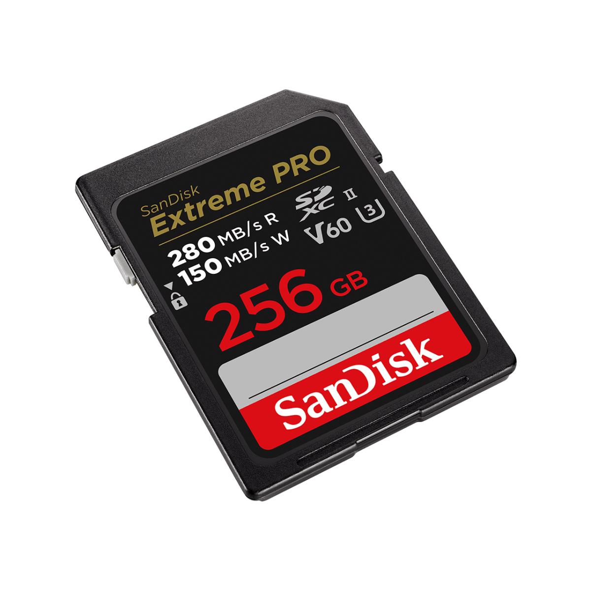 EU Product - Memory Crd 256 G Sdxc thumbnail