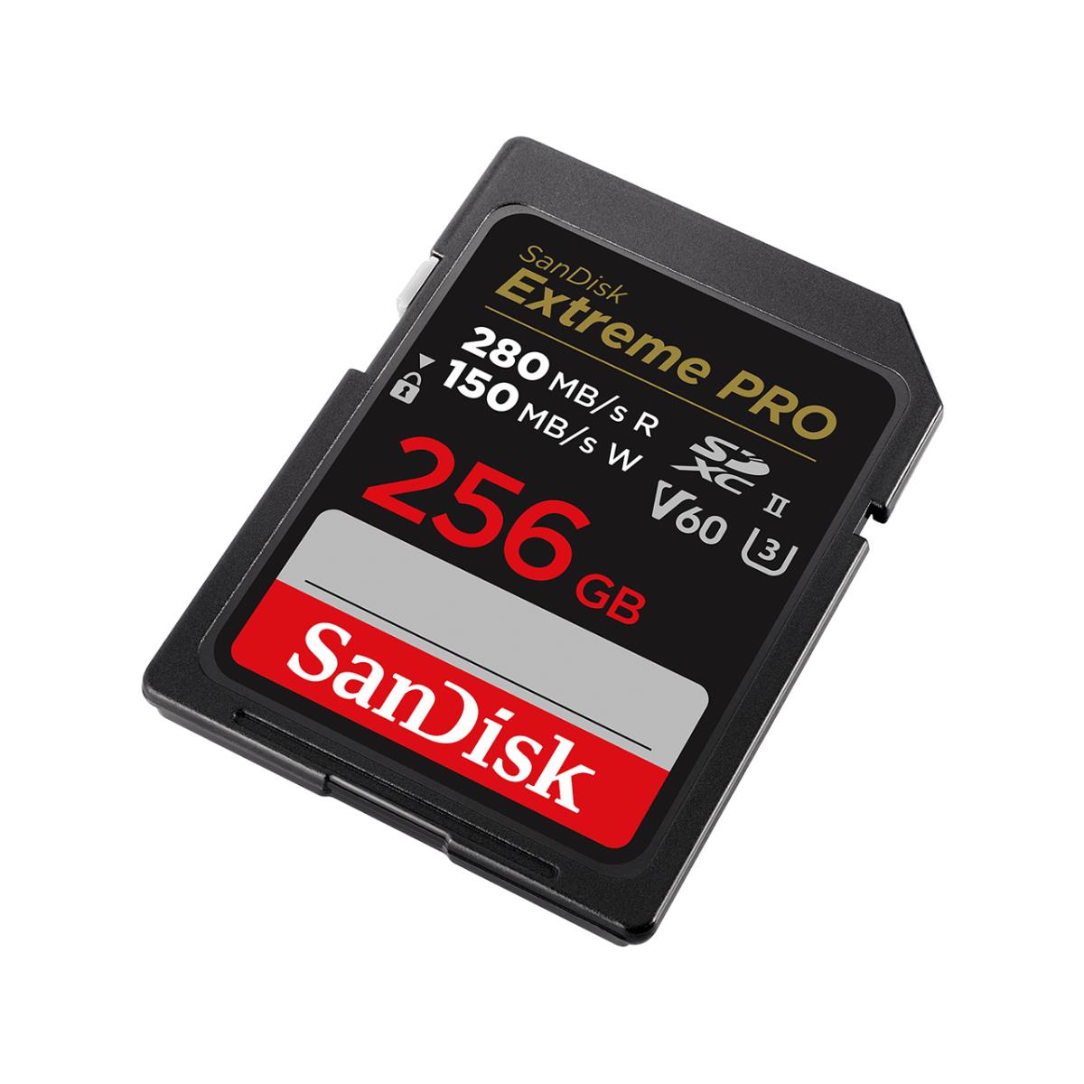 EU Product - Memory Crd 256 G Sdxc thumbnail