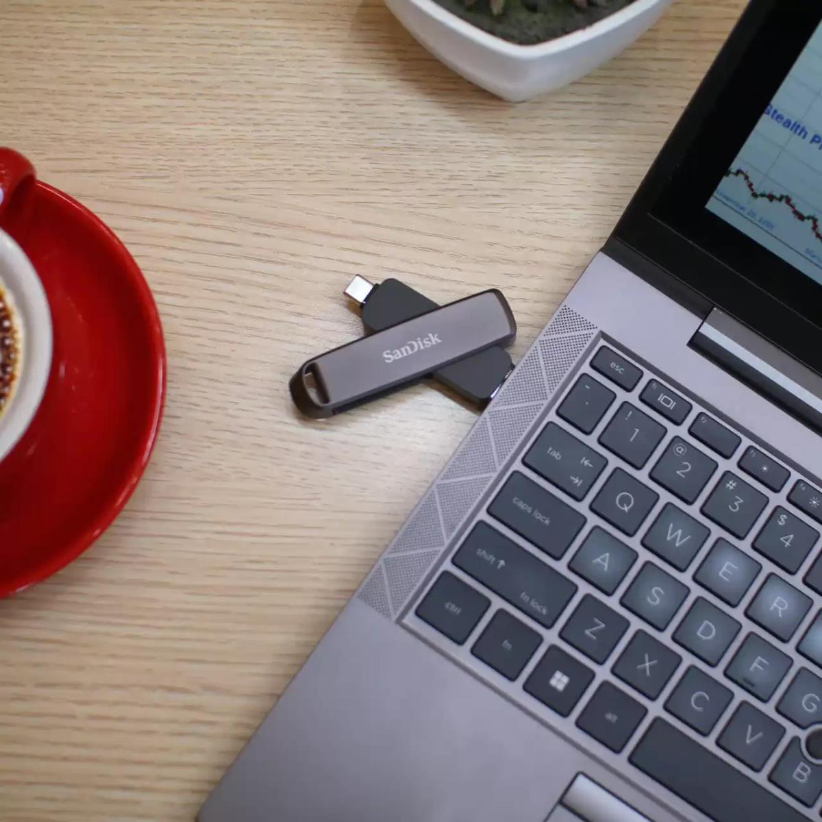 EU Product - Extreme Pro Dual Drive - Chiavetta Usb - Secure Digital (SD) - 0.88 GB thumbnail