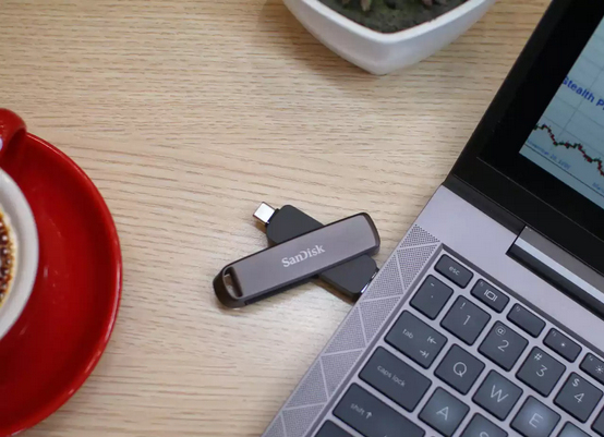 EU Product - Extreme Pro Dual Drive Usb Flash SDDDE1-512G-G46 - Secure Digital (SD) - 512 GB thumbnail