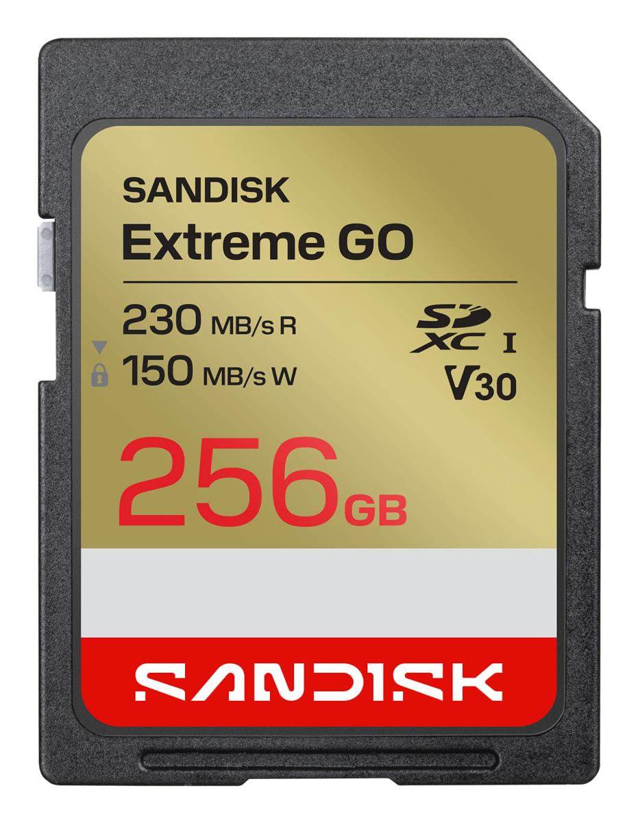 Extreme Go - Flash memory card - 256 GB - Video Class V30 / UHS-I U3 - SDXC UHS-I thumbnail