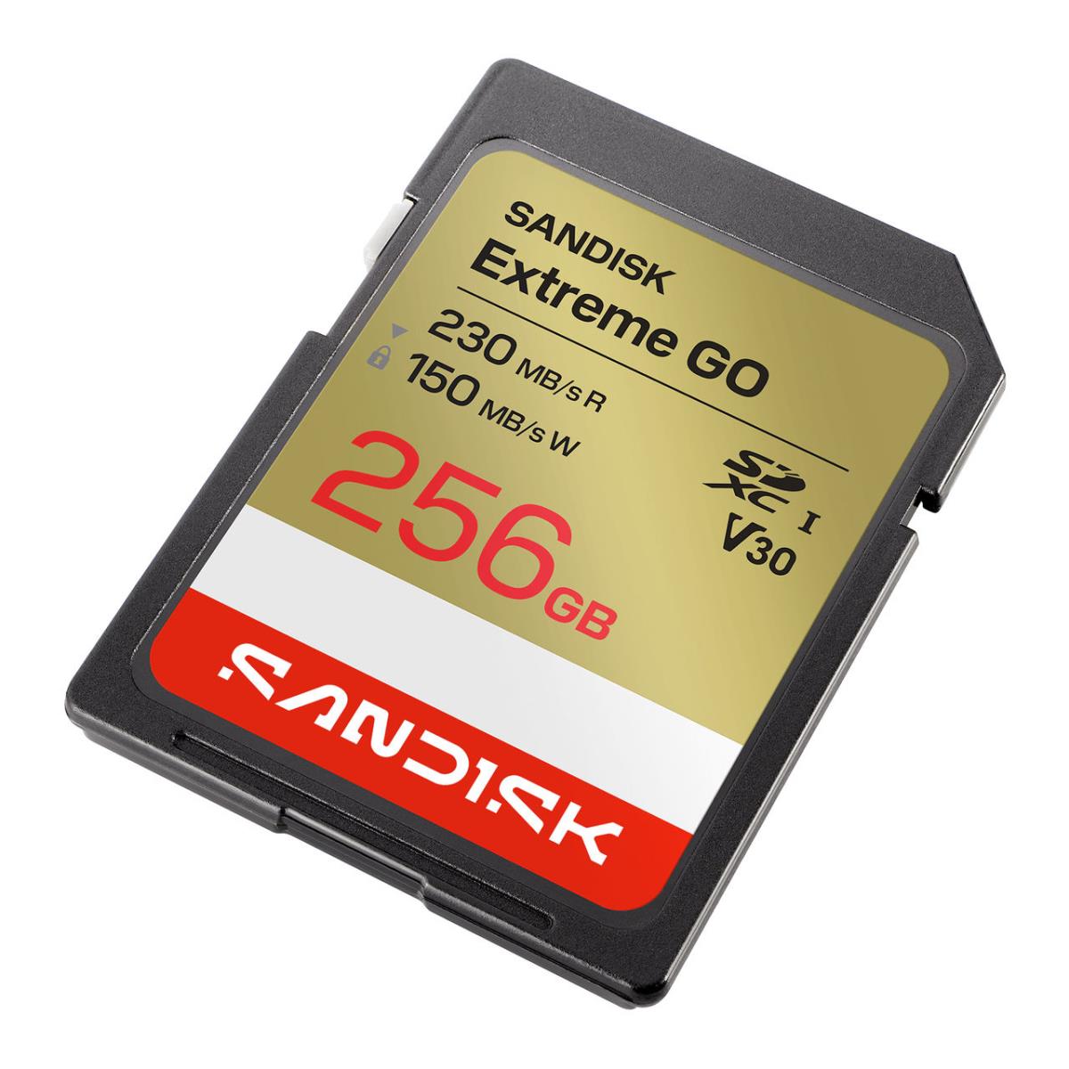 Extreme Go - Flash memory card - 256 GB - Video Class V30 / UHS-I U3 - SDXC UHS-I thumbnail
