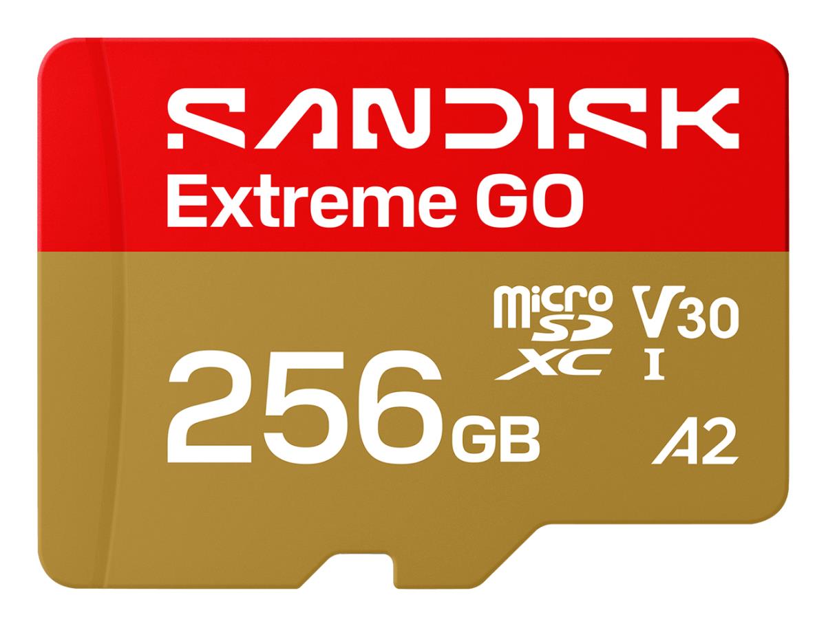 256GB ExtremeGOmicroSD thumbnail