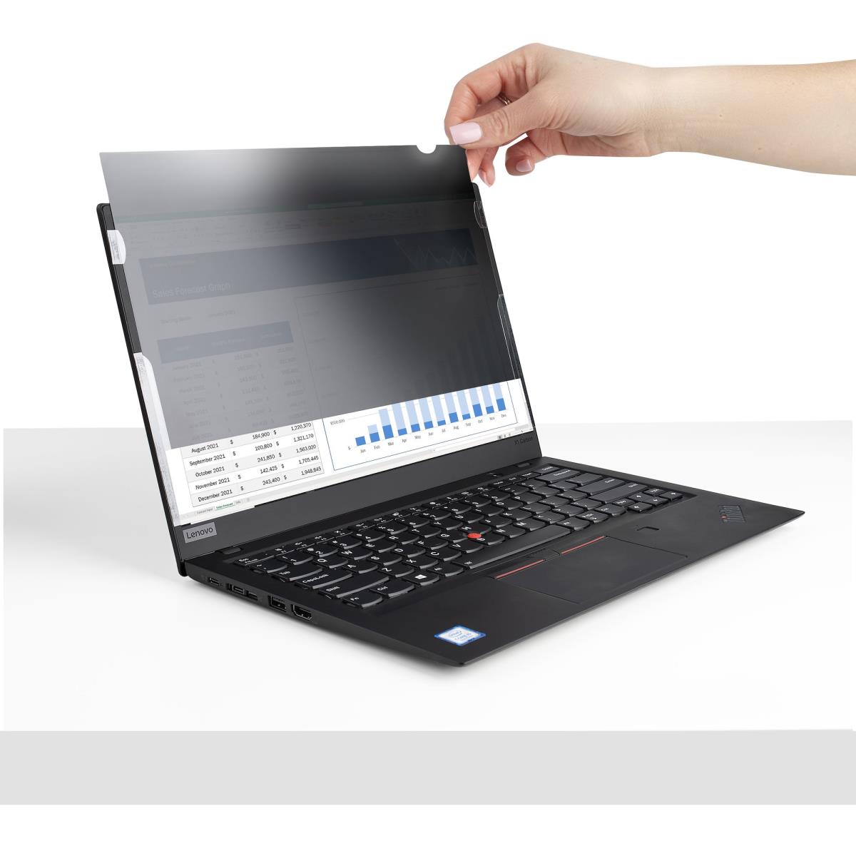 17.3 LAPTOP PRIVACY FILTER - thumbnail