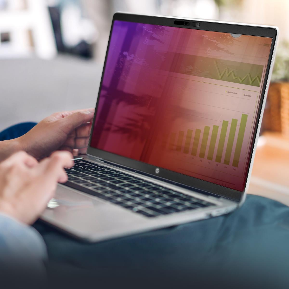 14IN LAPTOP PRIVACY SCREEN thumbnail