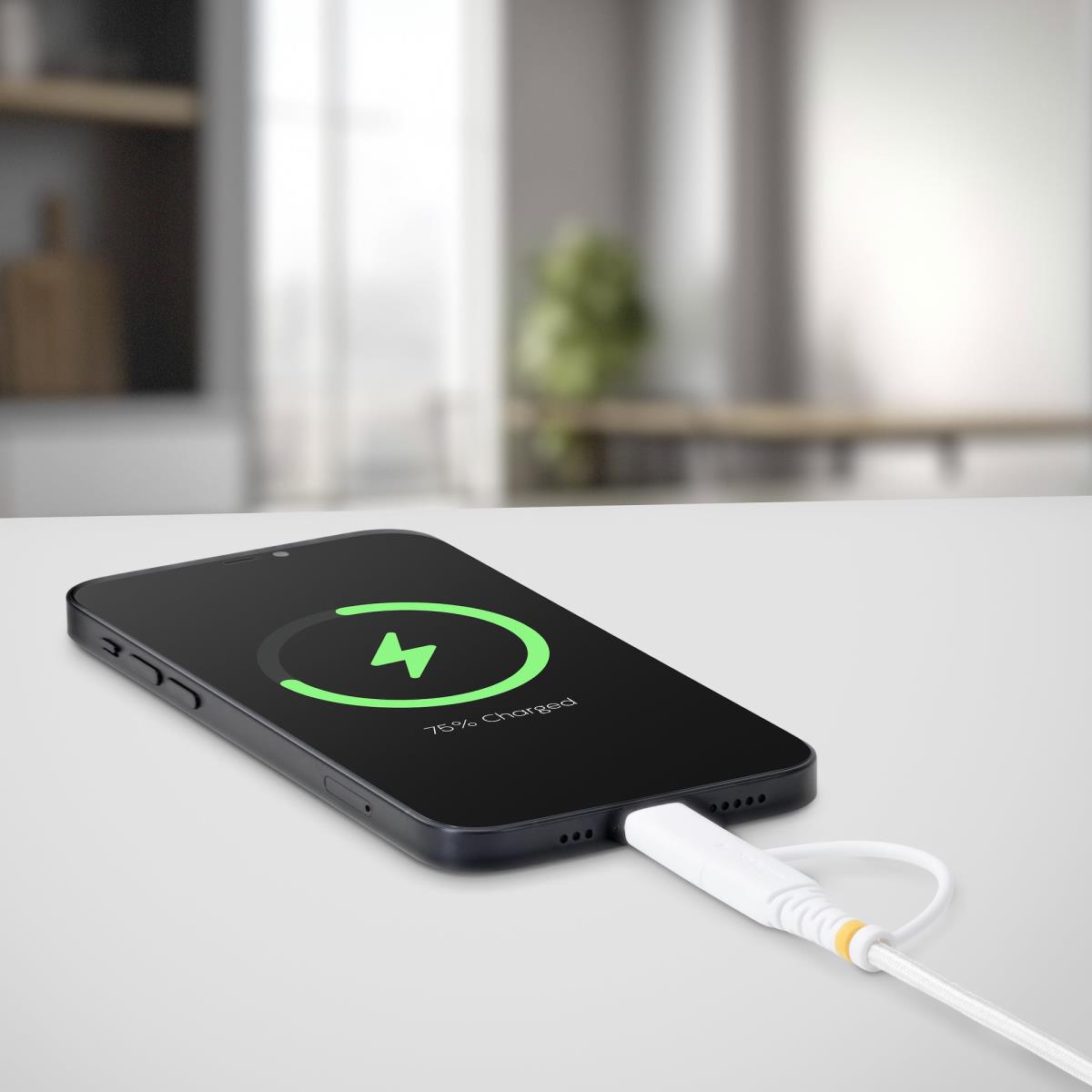 2-IN-1 USB-C CHARGING CABLE thumbnail