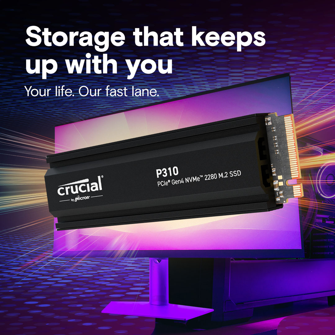 P310 2TB M.2 NVMe SSD thumbnail
