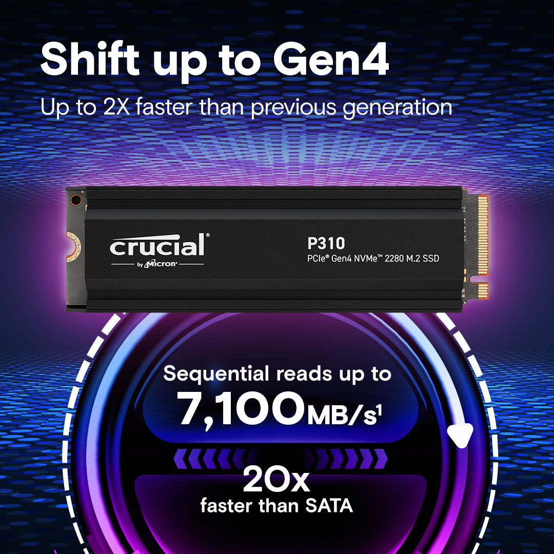 P310 2TB M.2 NVMe SSD thumbnail