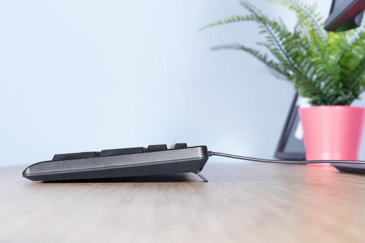 PRIMO KEYBOARD 23893 thumbnail