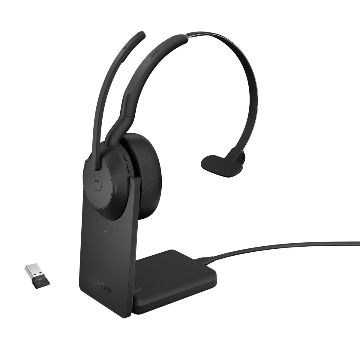 Evolve2 55 Link380a MS Mono Stand thumbnail
