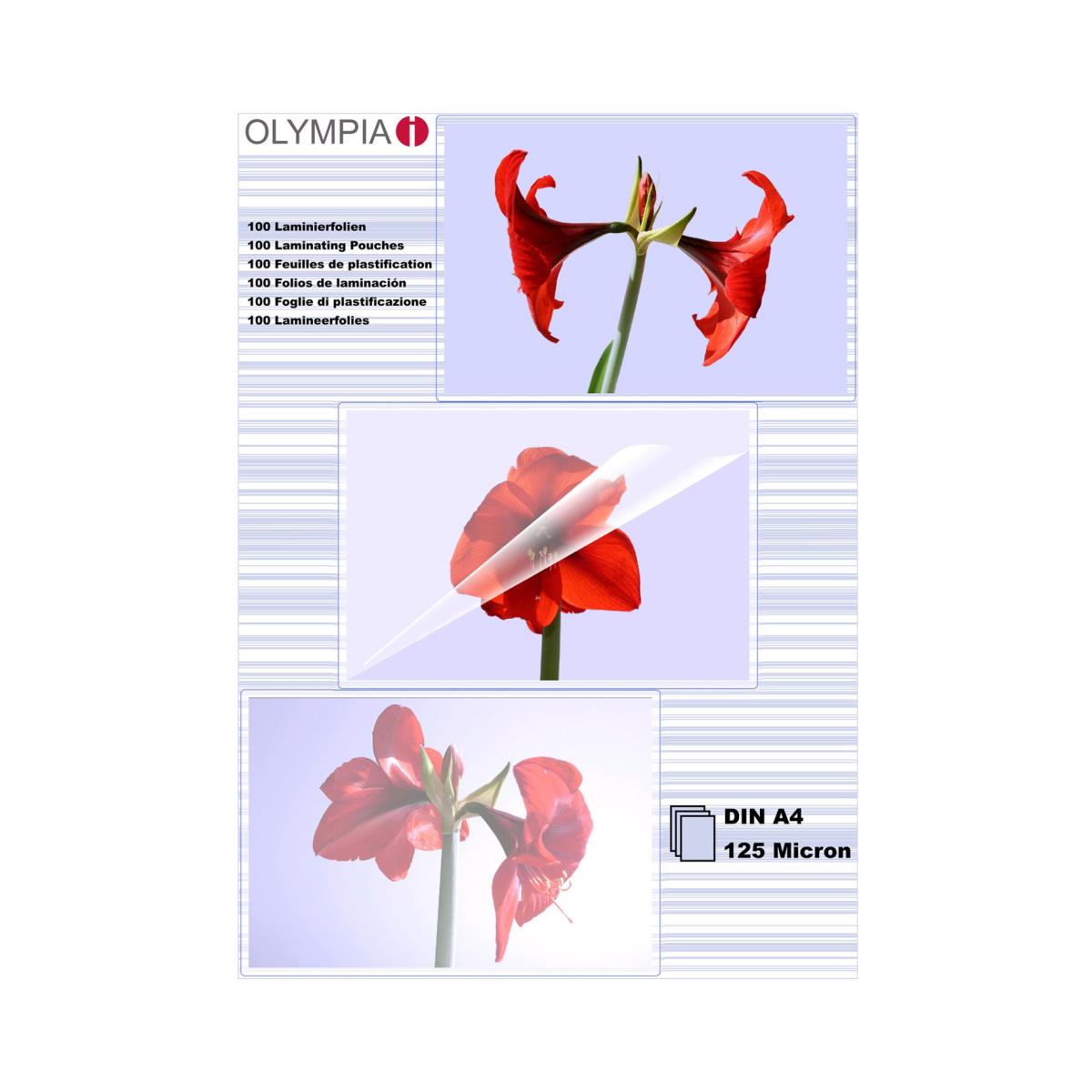 EU Product - Laminierfolie DIN A4       125 Mic 100 St�ck transp. thumbnail