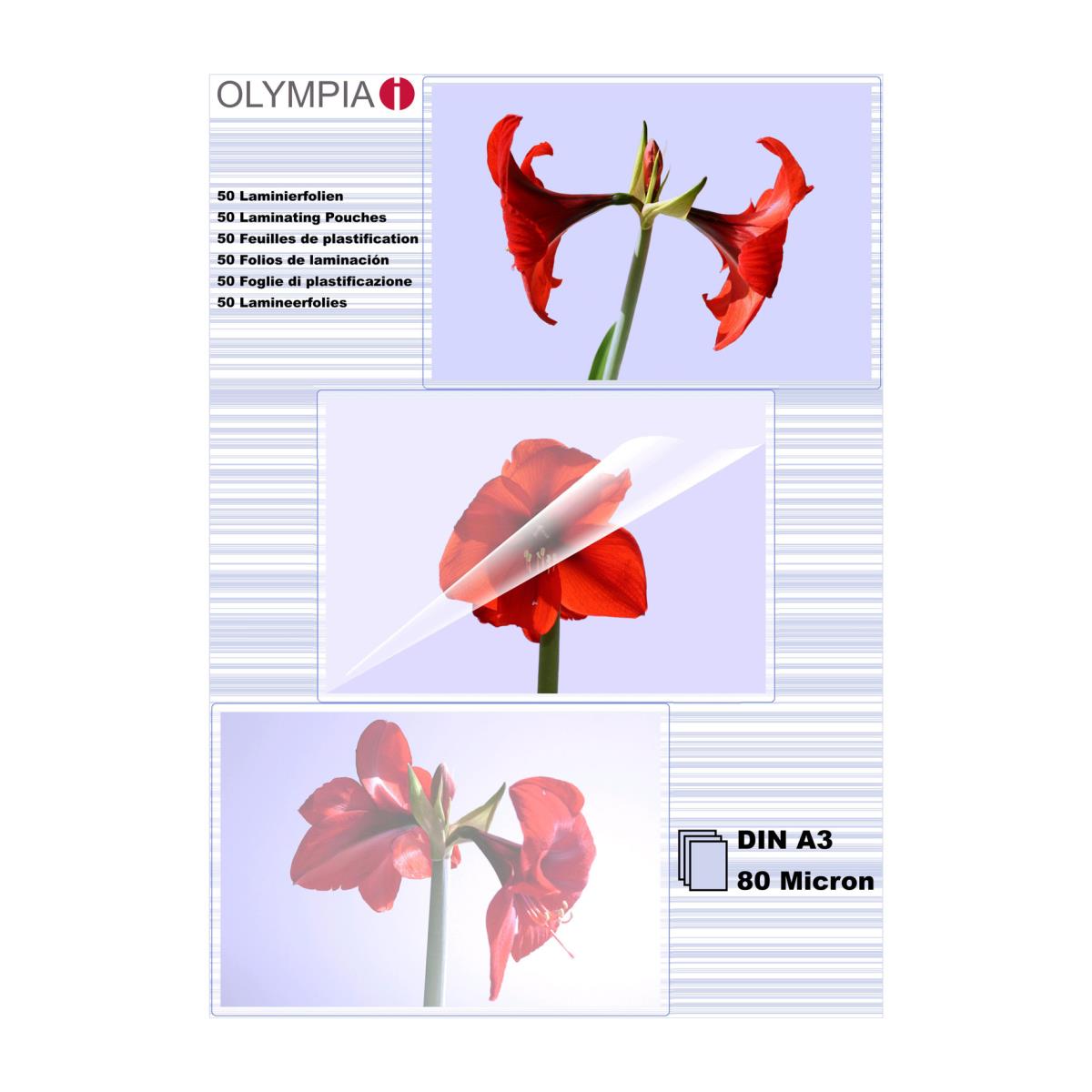 EU Product - Laminierfolie DIN A3        80 Mic  50 St�ck transp. thumbnail