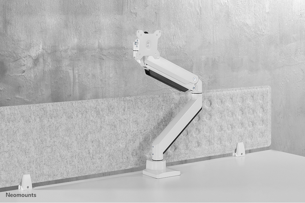 IT Neomounts Curved Desk Mnt10-49 NM-D775WHITEPLUS thumbnail
