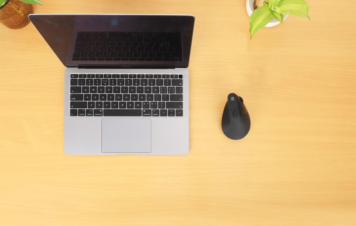 ERGONOMIC VERTICAL W/LESS MOUSE thumbnail