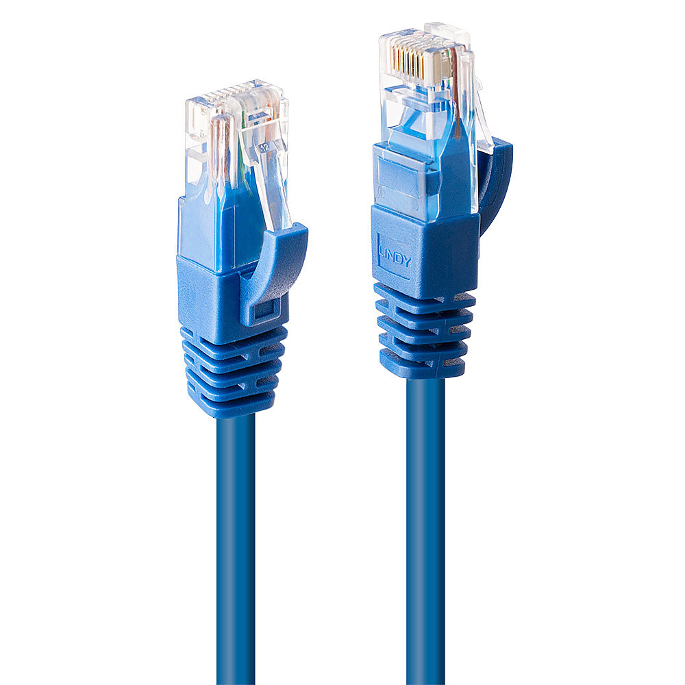 2MCAT6U/UTPGIGABITNETWORKCABLEBLUE thumbnail