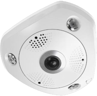 EU Product - LevelOne IPCam Fisheye   Dome In 12MP/H.265/IR/ 12W/PoE/IP67 thumbnail