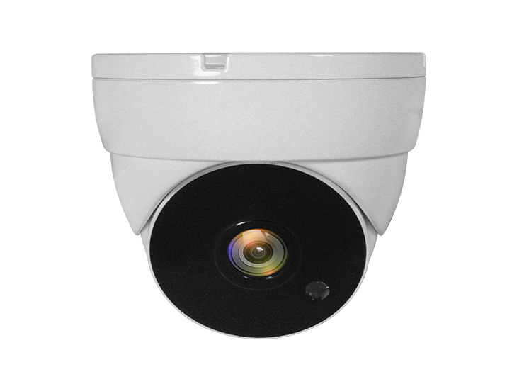 EU Product - LevelOne CCTV Dome   Kamera 4-in-1 FHD/IP67/IR-30m      wei� thumbnail