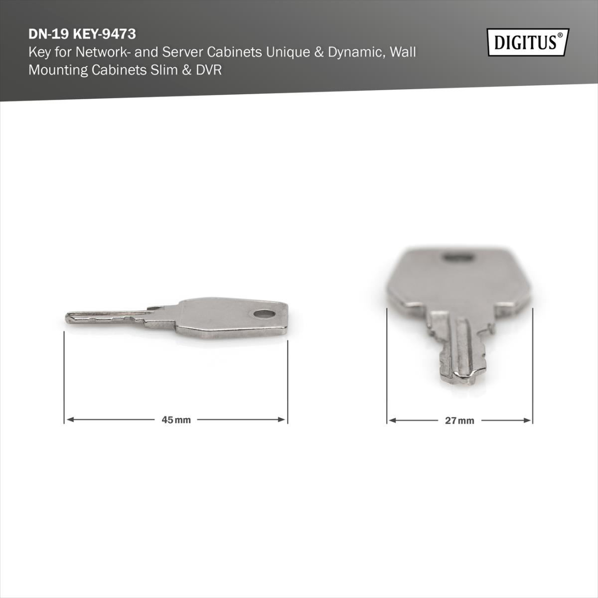 EU Product - Key for Unique and SOHO Pro series wall-mounted enclosures thumbnail