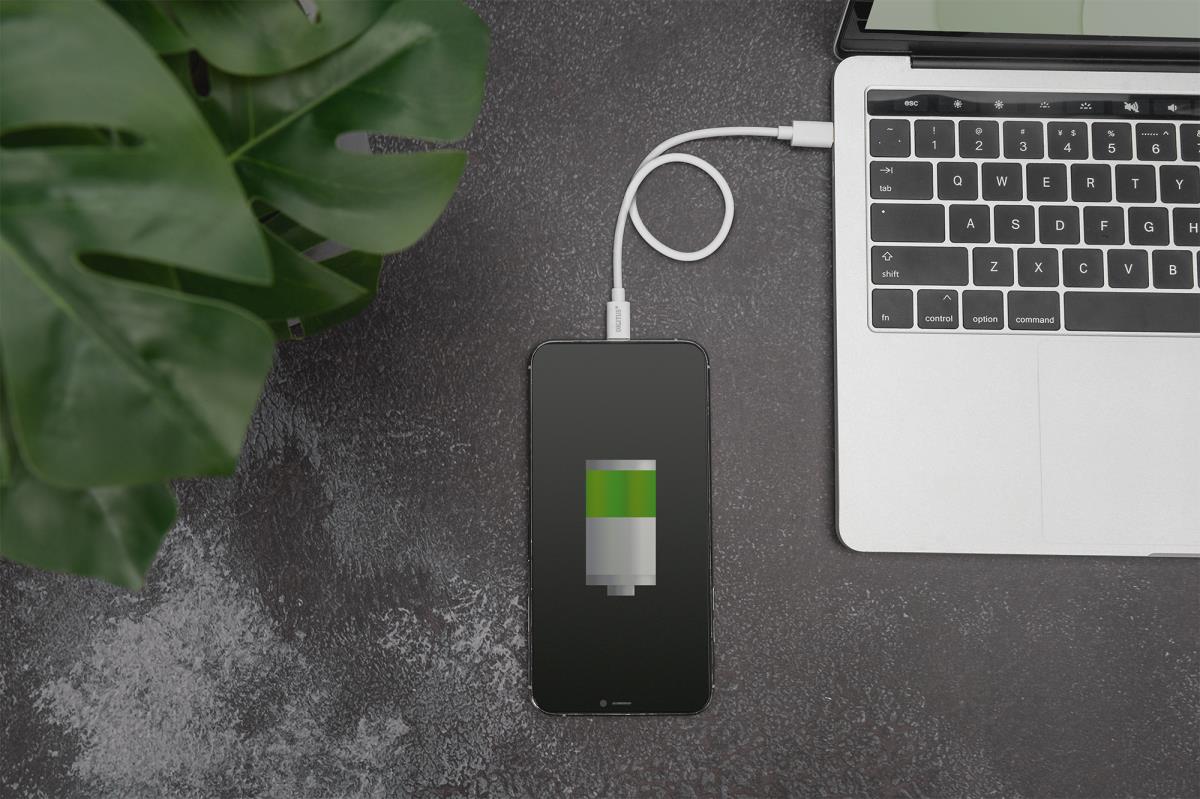 EU Product - Daten- / Ladekabel, USB-C - Lightning, MFI 1,0m thumbnail