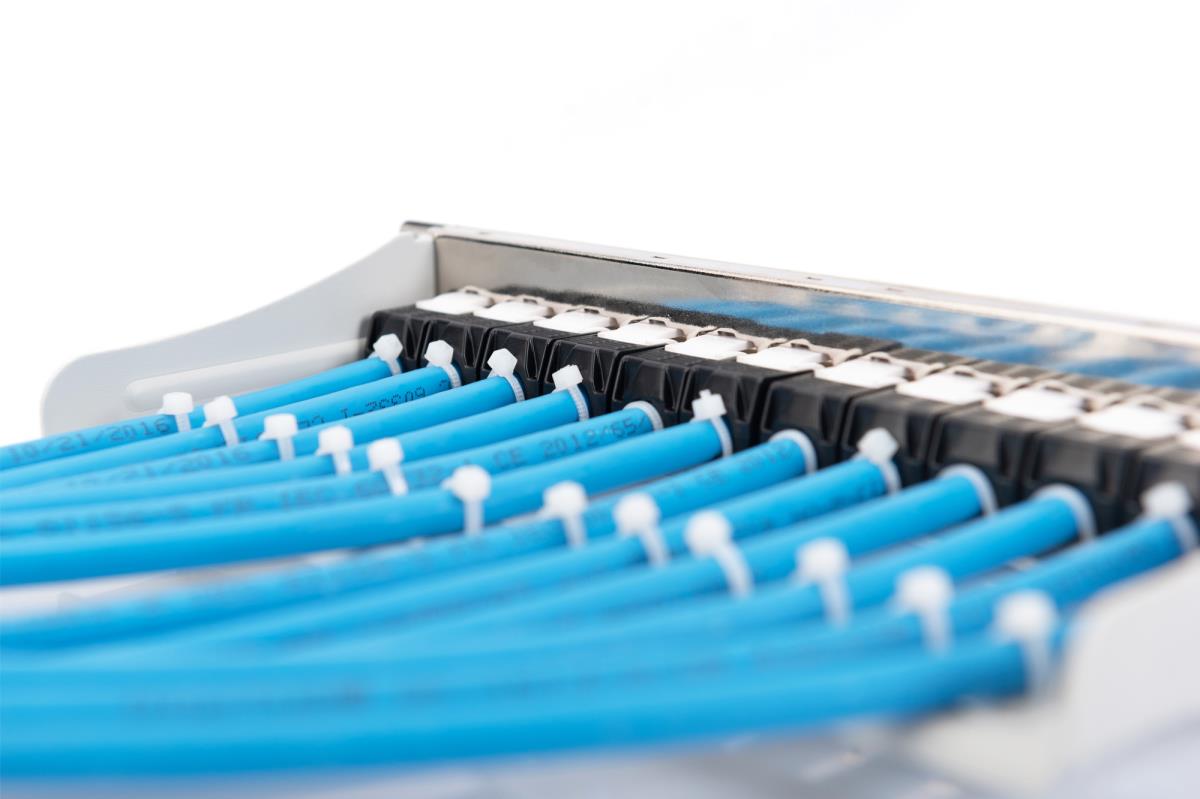 EU Product - Patchpanel 1HE 10