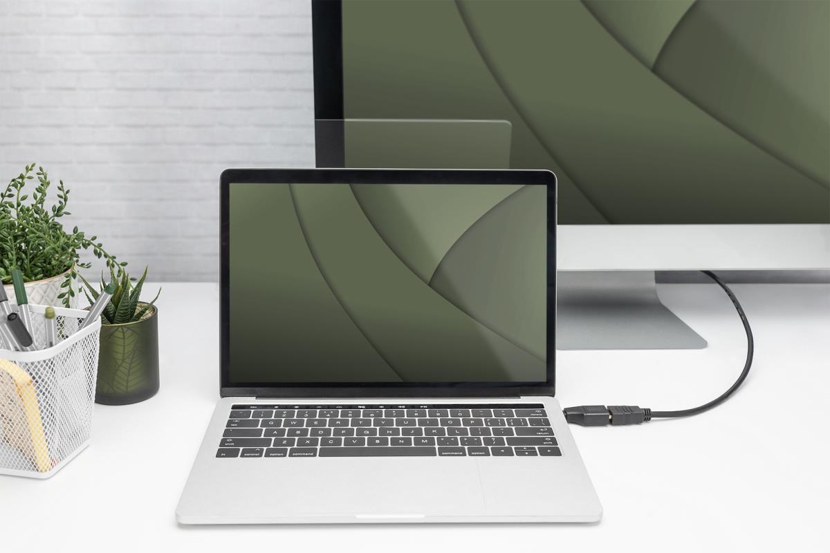 EU Product - 4K USB Adapter, USB-C plug to HDMI-A jack thumbnail