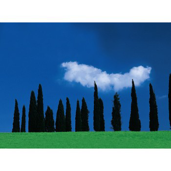 POLARIZING FILTER AR COATED 67MM thumbnail