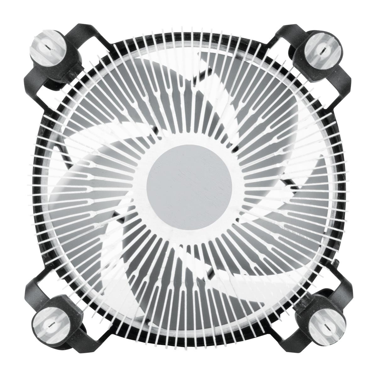 ALPINE 17 COMPACT COOLER thumbnail