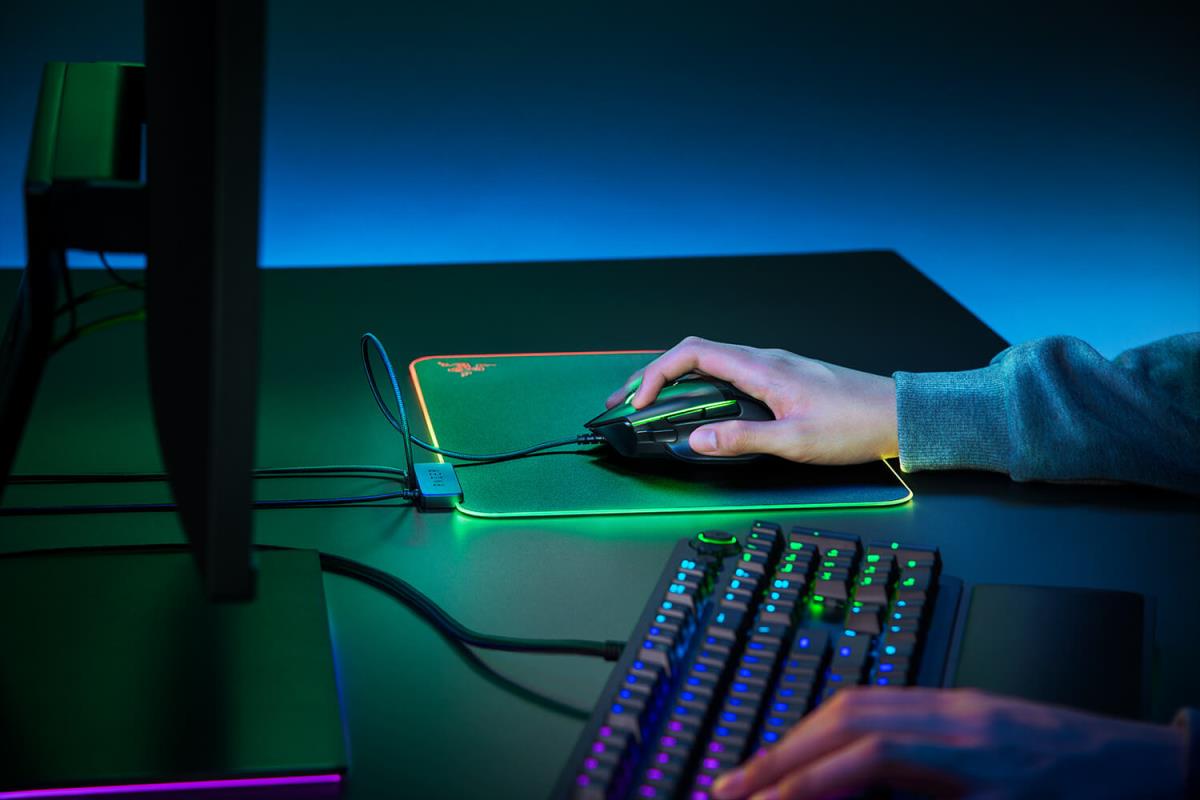 MEDIUM CHROMA FIREFLY V2 HARD thumbnail
