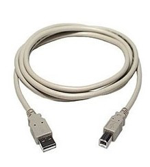 5M USB 2 AM - BM Blk 28/28AWG thumbnail