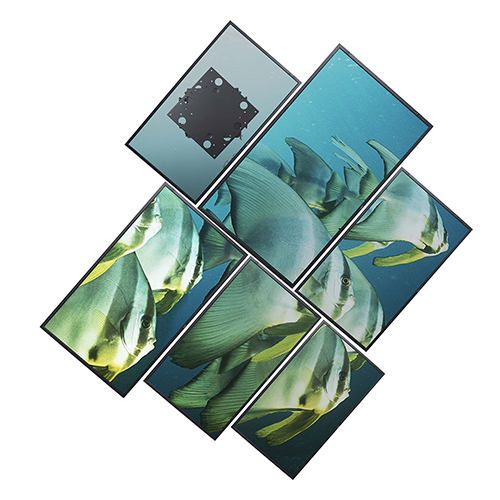 Freestyle Rotation Adaptor thumbnail