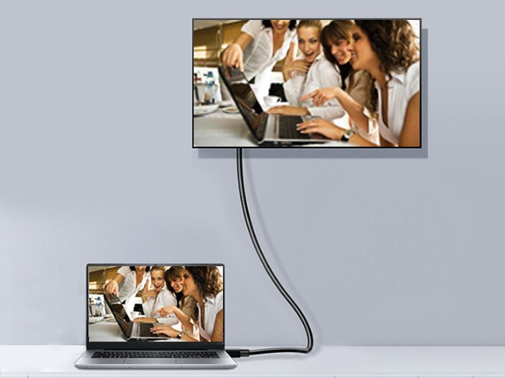 EU Product - DisplayPort 1.2           4K/60Hz St/St  1.00m schwarz Polybeutel thumbnail