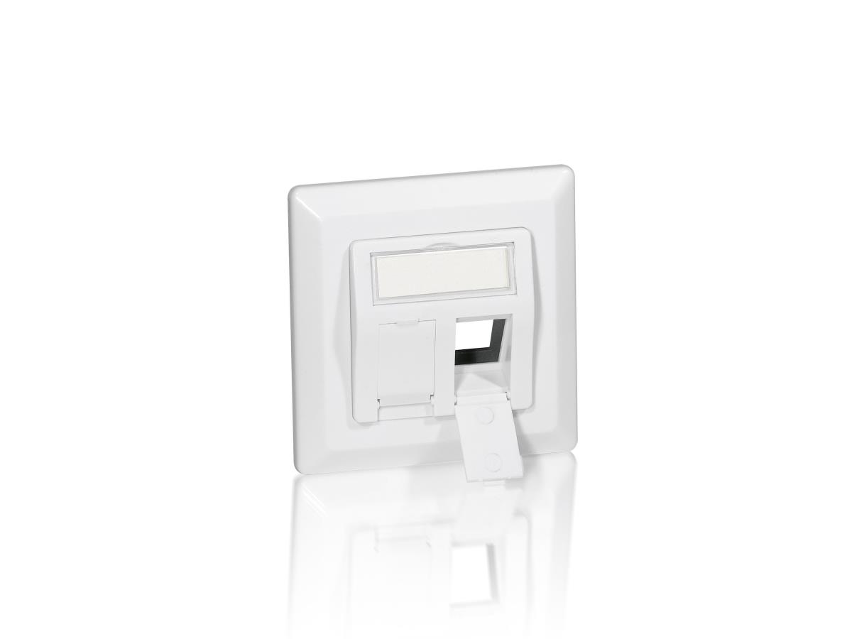EU Product - Frontplatte 2xKeystone Jack 45�                RAL9010 Polybeutel thumbnail