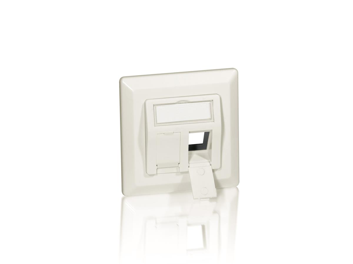 EU Product - Frontplatte 2xKeystone Jack 45�           5Stk RAL1013 Polybeutel thumbnail
