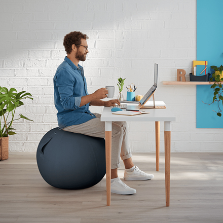 Ergo Cosy Sitting Ball Velvet Grey thumbnail