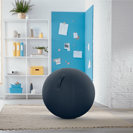 Ergo Cosy Sitting Ball Velvet Grey thumbnail